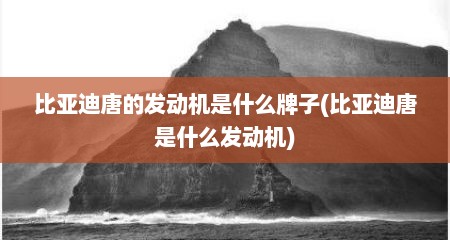 比亚迪唐的发动机是什么牌子(比亚迪唐是什么发动机)