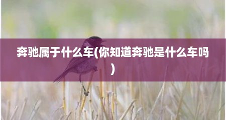 奔驰属于什么车(你知道奔驰是什么车吗)