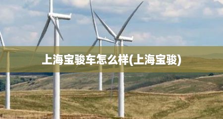 上海宝骏车怎么样(上海宝骏)