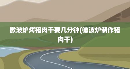 微波炉烤猪肉干要几分钟(微波炉制作猪肉干)