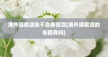 海外旗舰店会不会有假货(海外旗舰店的东西真吗)
