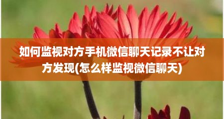 如何监视对方手机微信聊天记录不让对方发现(怎么样监视微信聊天)
