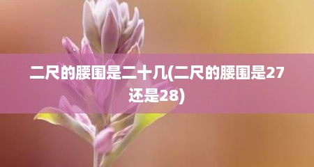 二尺的腰围是二十几(二尺的腰围是27还是28)