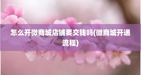 怎么开微商城店铺要交钱吗(微商城开通流程)