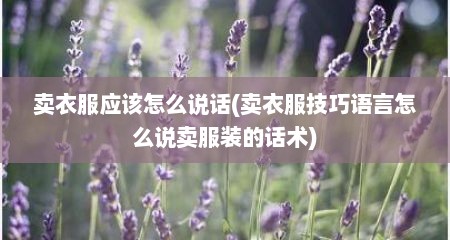 卖衣服应该怎么说话(卖衣服技巧语言怎么说卖服装的话术)