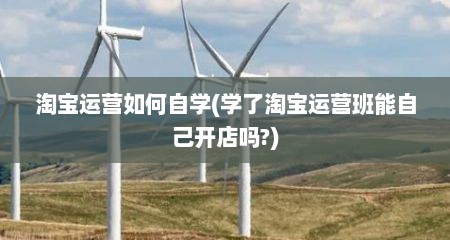 淘宝运营如何自学(学了淘宝运营班能自己开店吗?)