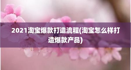 2021淘宝爆款打造流程(淘宝怎么样打造爆款产品)