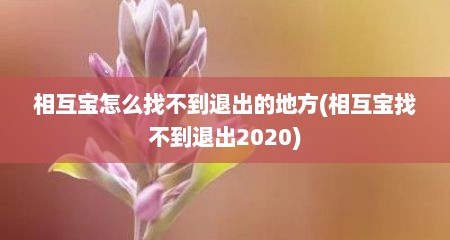 相互宝怎么找不到退出的地方(相互宝找不到退出2020)