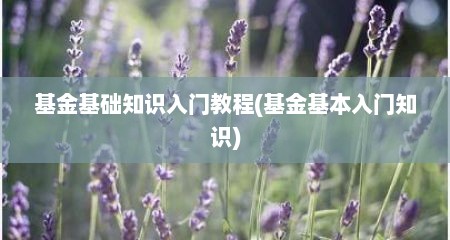 基金基础知识入门教程(基金基本入门知识)
