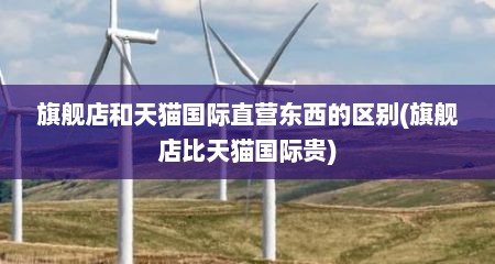 旗舰店和天猫国际直营东西的区别(旗舰店比天猫国际贵)