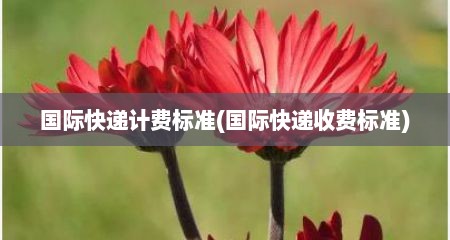国际快递计费标准(国际快递收费标准)