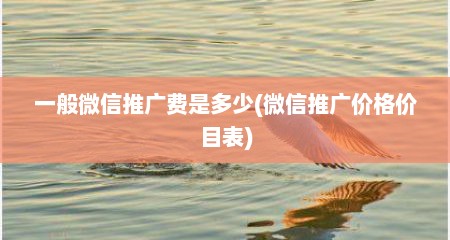 一般微信推广费是多少(微信推广价格价目表)