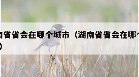 湖南省省会在哪个城市（湖南省省会在哪个城市?）