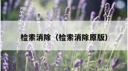 检索消除（检索消除原版）