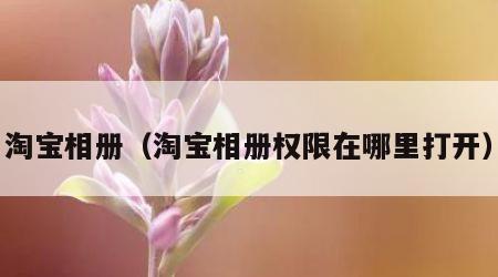 淘宝相册（淘宝相册权限在哪里打开）