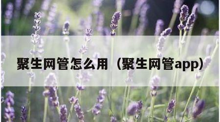 聚生网管怎么用（聚生网管app）