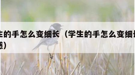 学生的手怎么变细长（学生的手怎么变细长有骨感）