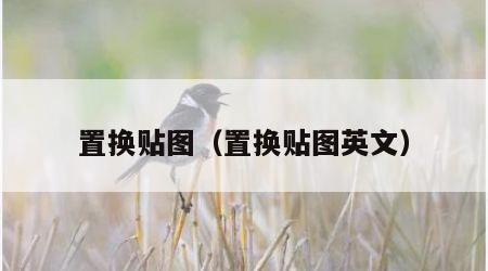 置换贴图（置换贴图英文）