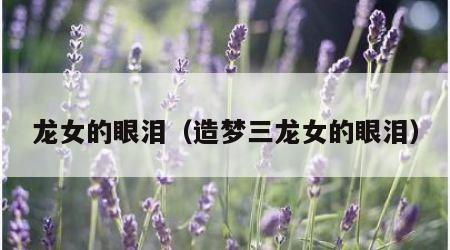 龙女的眼泪（造梦三龙女的眼泪）