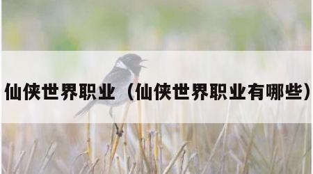 仙侠世界职业（仙侠世界职业有哪些）