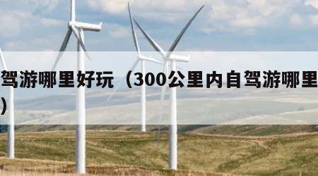 自驾游哪里好玩（300公里内自驾游哪里好玩）