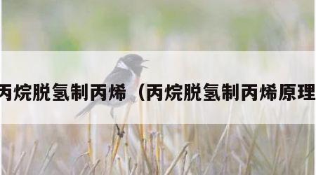 丙烷脱氢制丙烯（丙烷脱氢制丙烯原理）