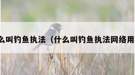 什么叫钓鱼执法（什么叫钓鱼执法网络用语）
