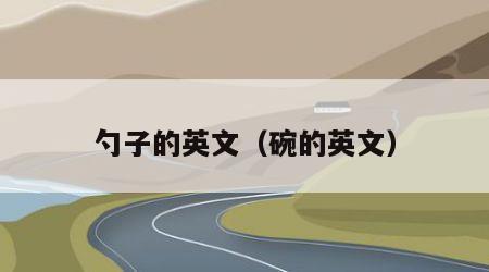 勺子的英文（碗的英文）
