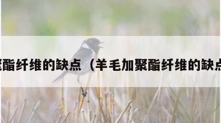 聚酯纤维的缺点（羊毛加聚酯纤维的缺点）