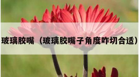 玻璃胶嘴（玻璃胶嘴子角度咋切合适）