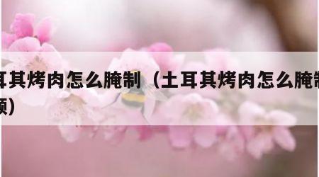 土耳其烤肉怎么腌制（土耳其烤肉怎么腌制的视频）