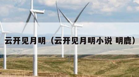 云开见月明（云开见月明小说 明鹿）