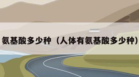 氨基酸多少种（人体有氨基酸多少种）