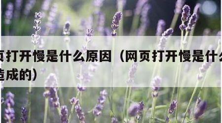 网页打开慢是什么原因（网页打开慢是什么原因造成的）