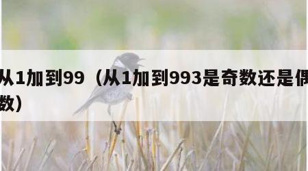从1加到99（从1加到993是奇数还是偶数）