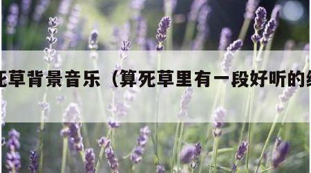 算死草背景音乐（算死草里有一段好听的纯音乐）
