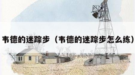 韦德的迷踪步（韦德的迷踪步怎么练）
