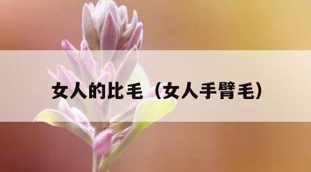 女人的比毛（女人手臂毛）