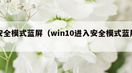 安全模式蓝屏（win10进入安全模式蓝屏）