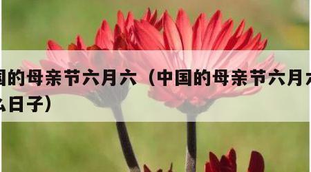 中国的母亲节六月六（中国的母亲节六月六是什么日子）