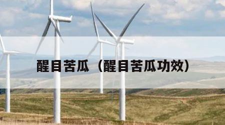 醒目苦瓜（醒目苦瓜功效）