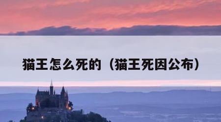 猫王怎么死的（猫王死因公布）