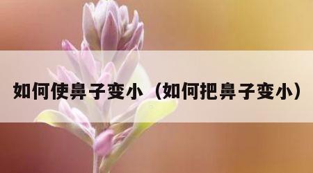 如何使鼻子变小（如何把鼻子变小）