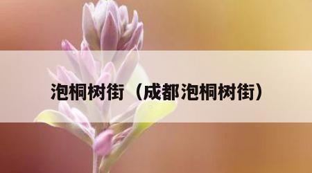 泡桐树街（成都泡桐树街）