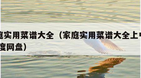 家庭实用菜谱大全（家庭实用菜谱大全上中下 百度网盘）