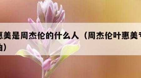 叶惠美是周杰伦的什么人（周杰伦叶惠美专辑歌曲）
