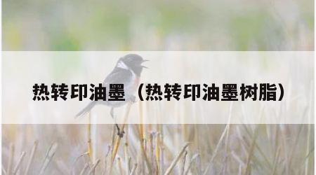 热转印油墨（热转印油墨树脂）