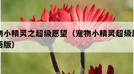 宠物小精灵之超级愿望（宠物小精灵超级愿望国语版）