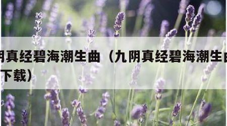 九阴真经碧海潮生曲（九阴真经碧海潮生曲mp3 下载）