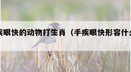 手疾眼快的动物打生肖（手疾眼快形容什么动物）